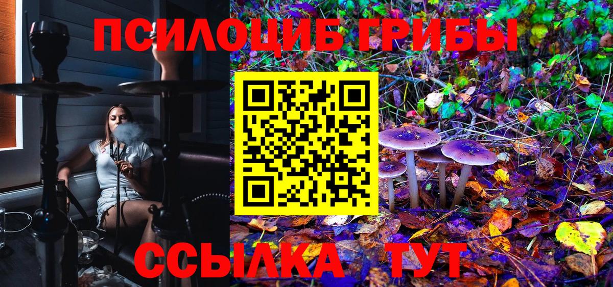 Псилоцибиновые грибы Magic Shrooms Ивантеевка