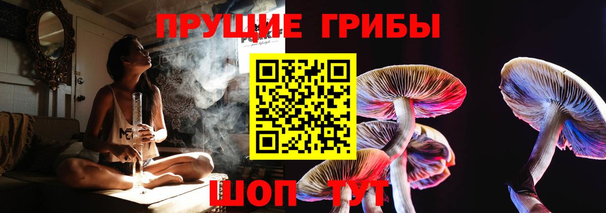 дарнет шоп  Вход с VPN  Псилоцибиновые грибы Psilocybine cubensis  Ивантеевка  Псилоцибиновые грибы ЛСД 